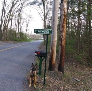 Meet your Posher, Ray